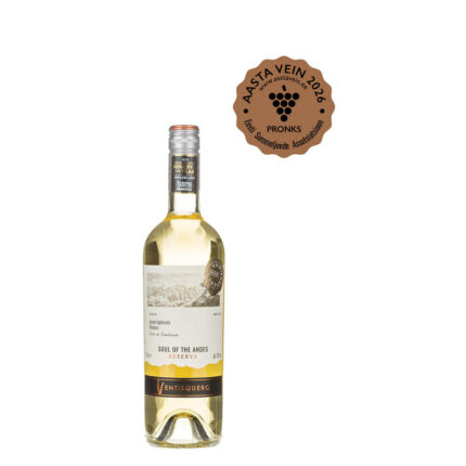 Ventisquero, Sauvignon Blanc, Reserva, 2023